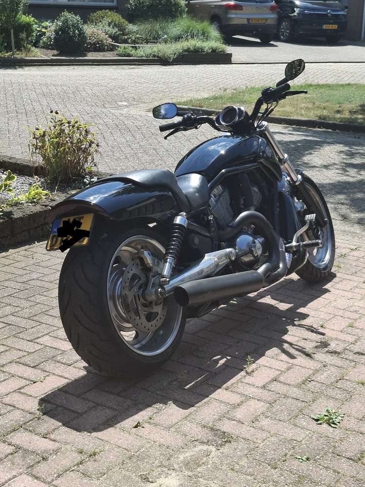 thumb-5