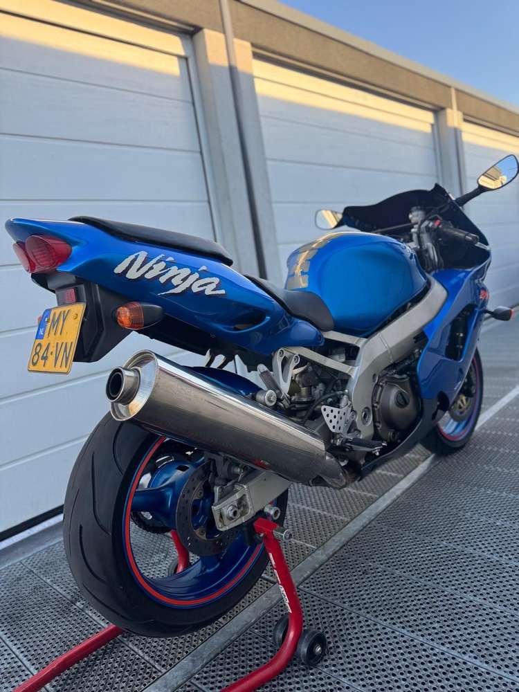thumb-4