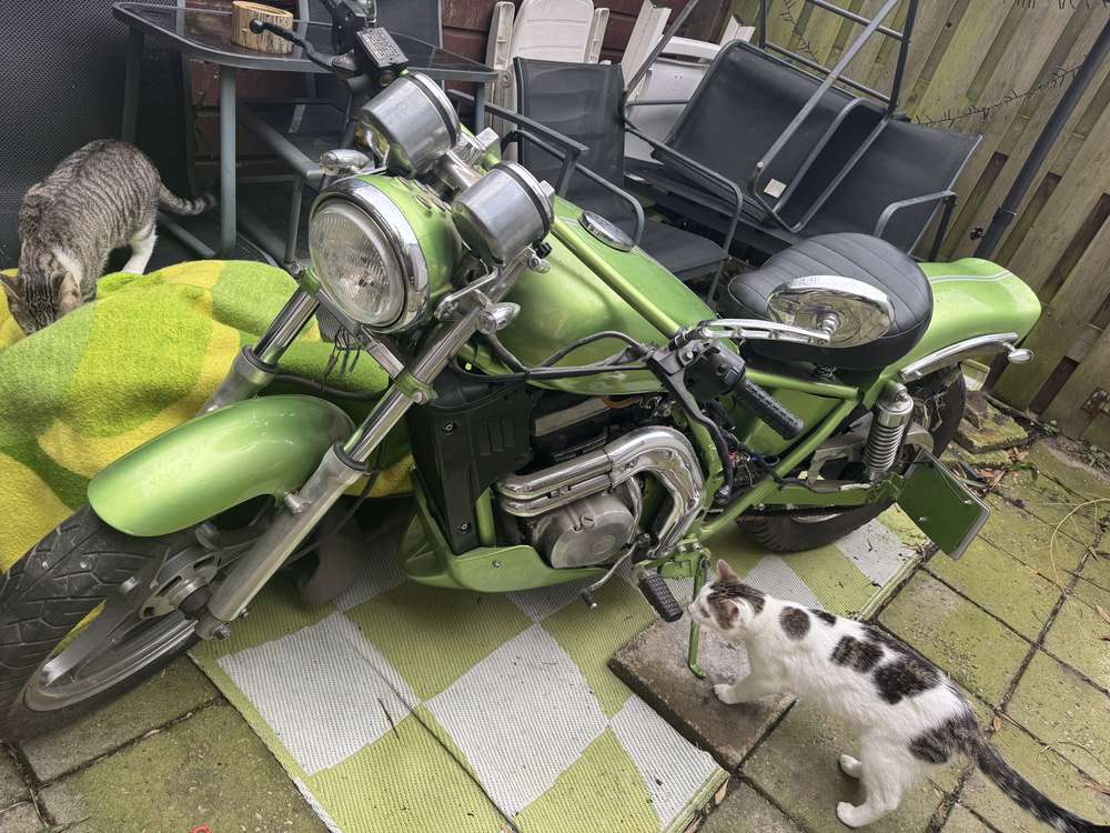 Kawasaki EL 250