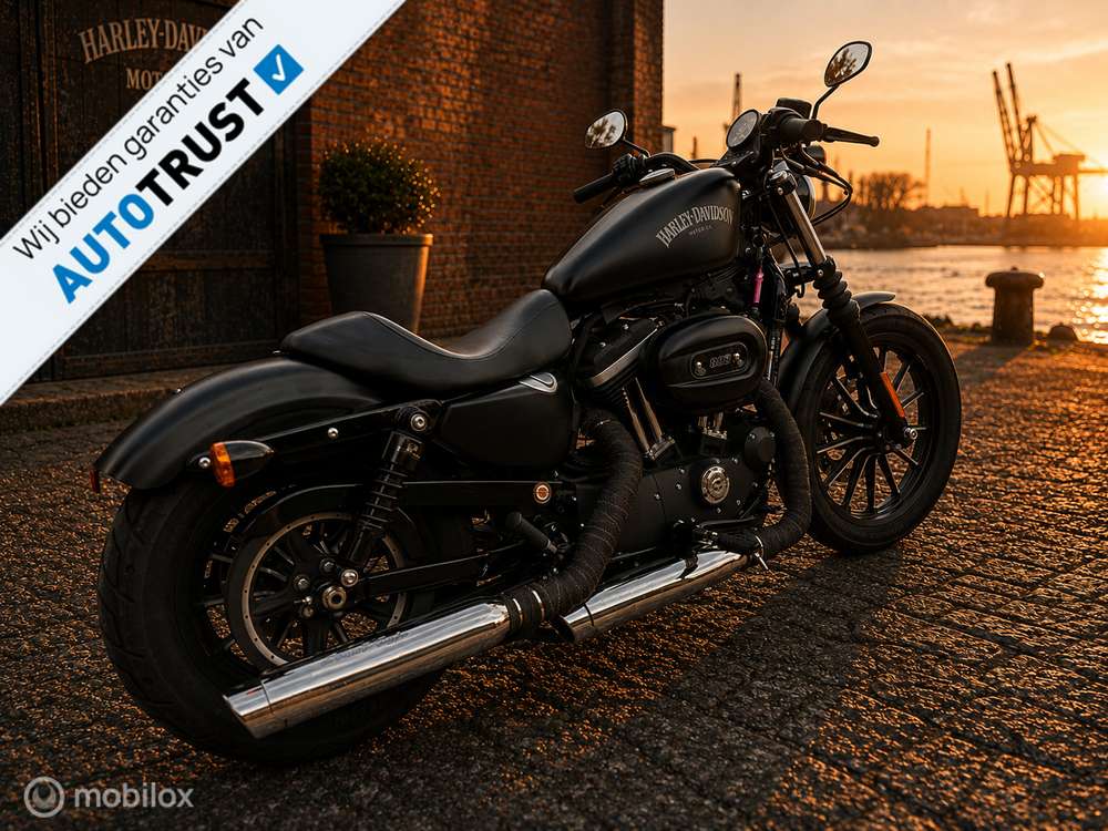 Harley-Davidson XL 883 Sportster