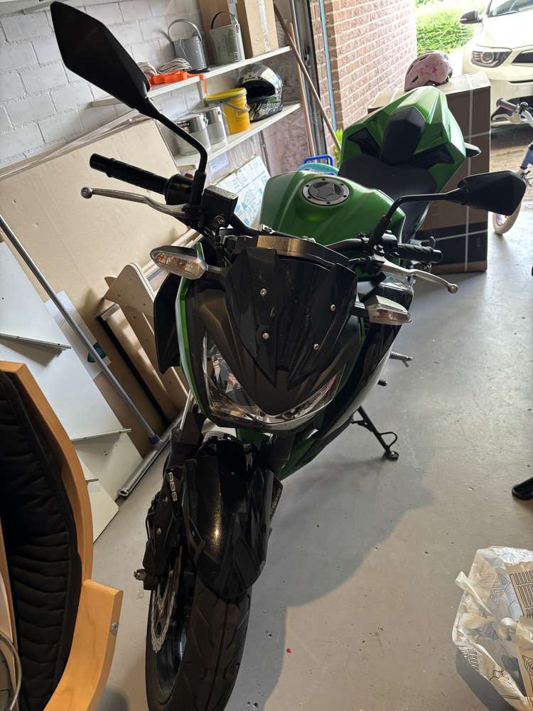 Kawasaki Z 300 Performance
