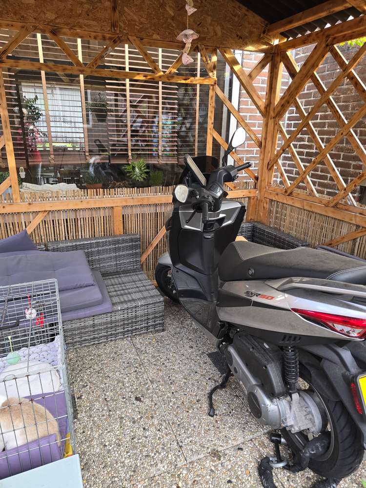 Aprilia SXR 50