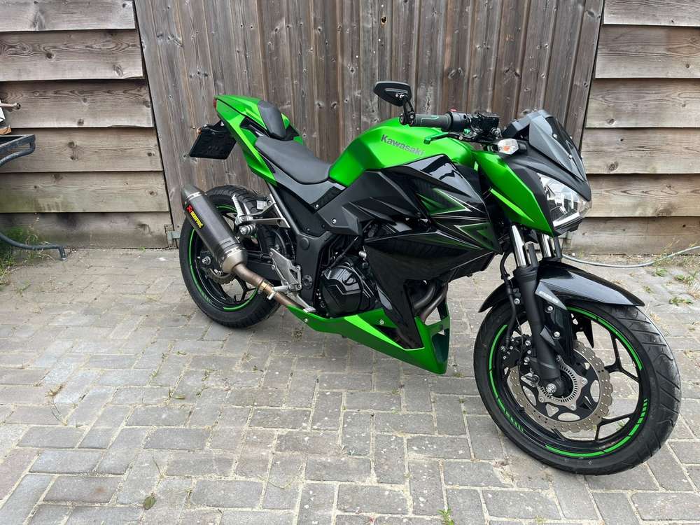 Kawasaki Z 300 Performance