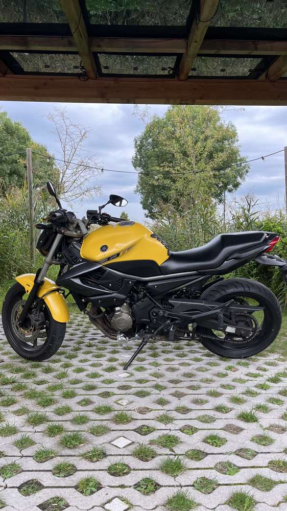Yamaha XJ6-N