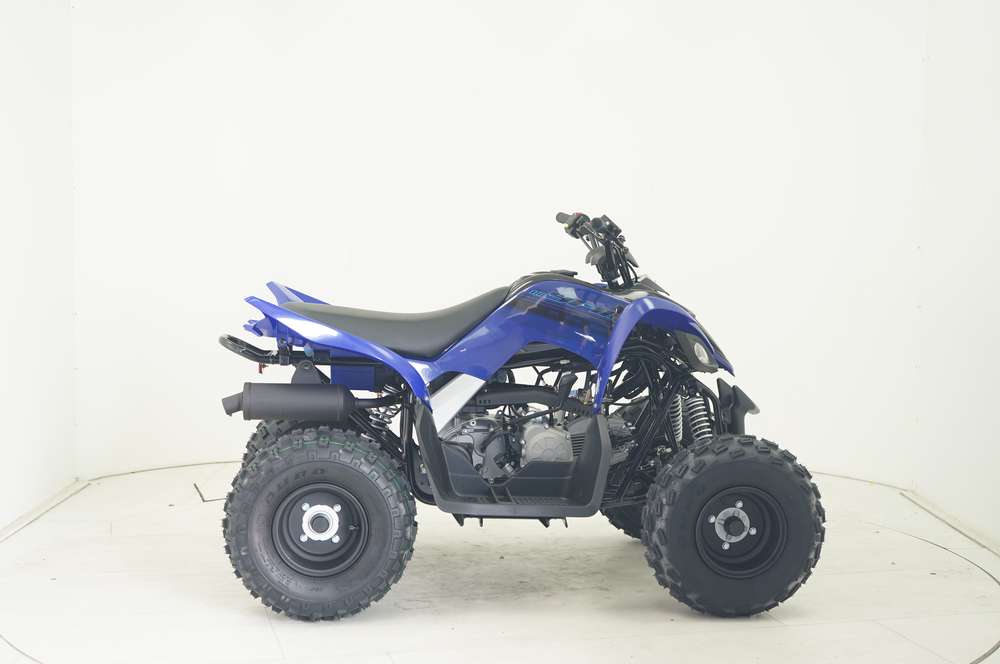 Yamaha YFM 110