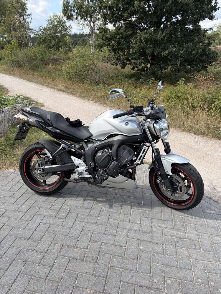 Yamaha FZ-6N