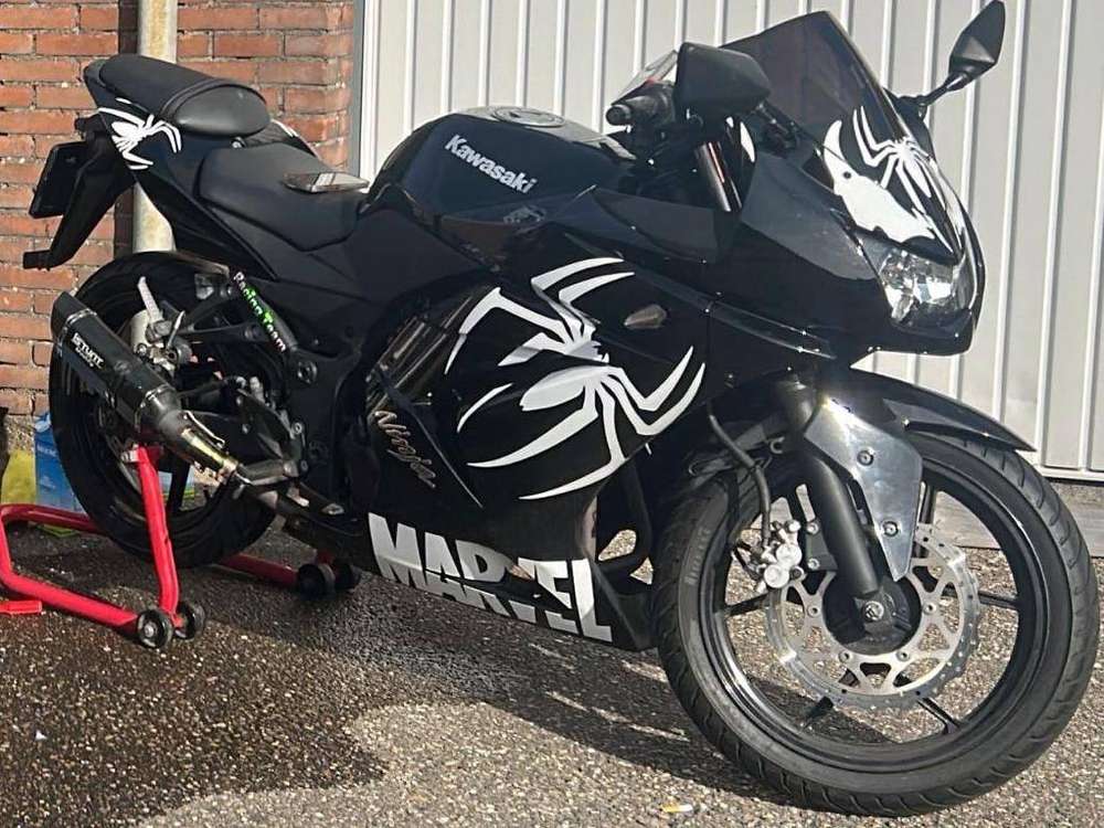 Kawasaki Ninja 250R