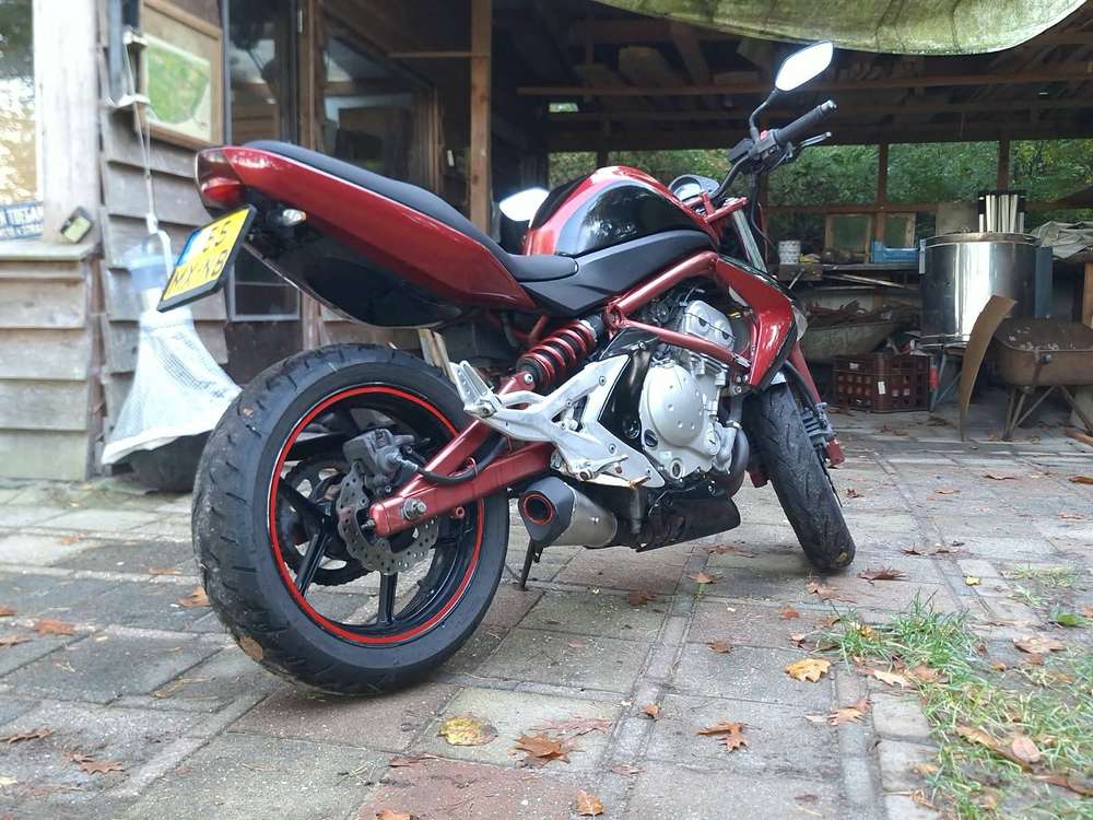 Kawasaki ER-5 Twister