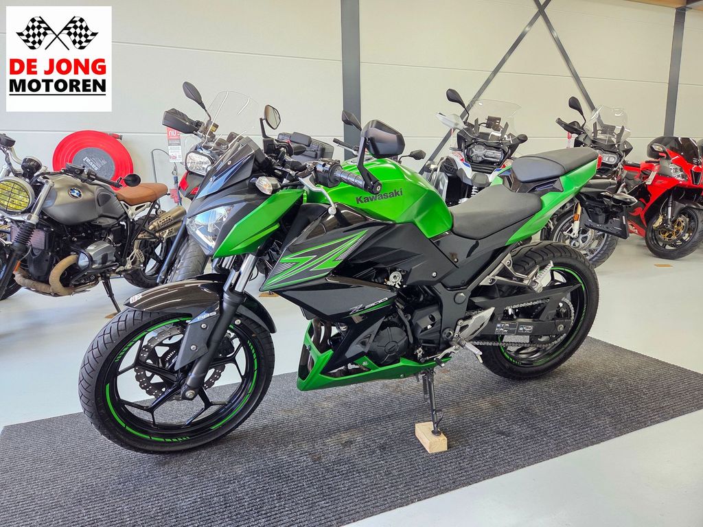 Kawasaki Z 300 Performance