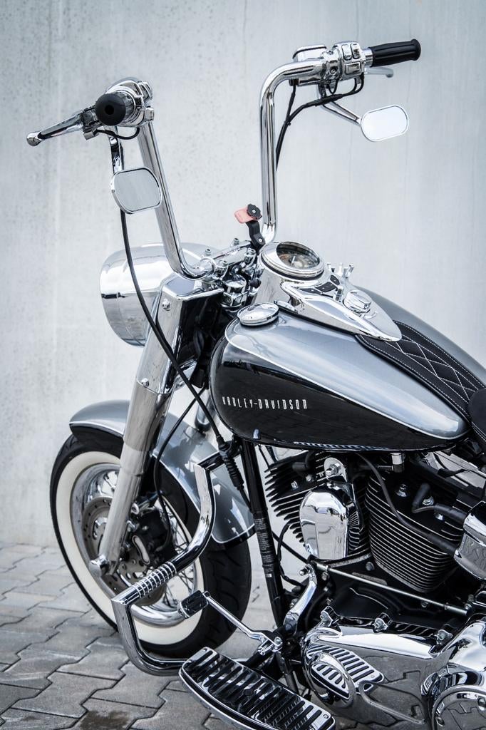 Harley-Davidson FLS Softail Custom