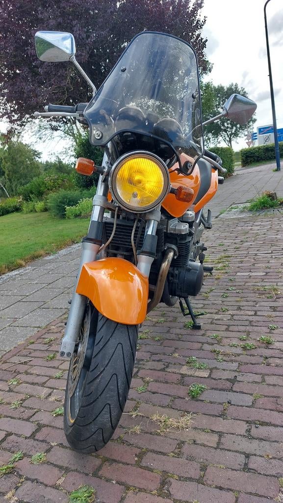 thumb-1