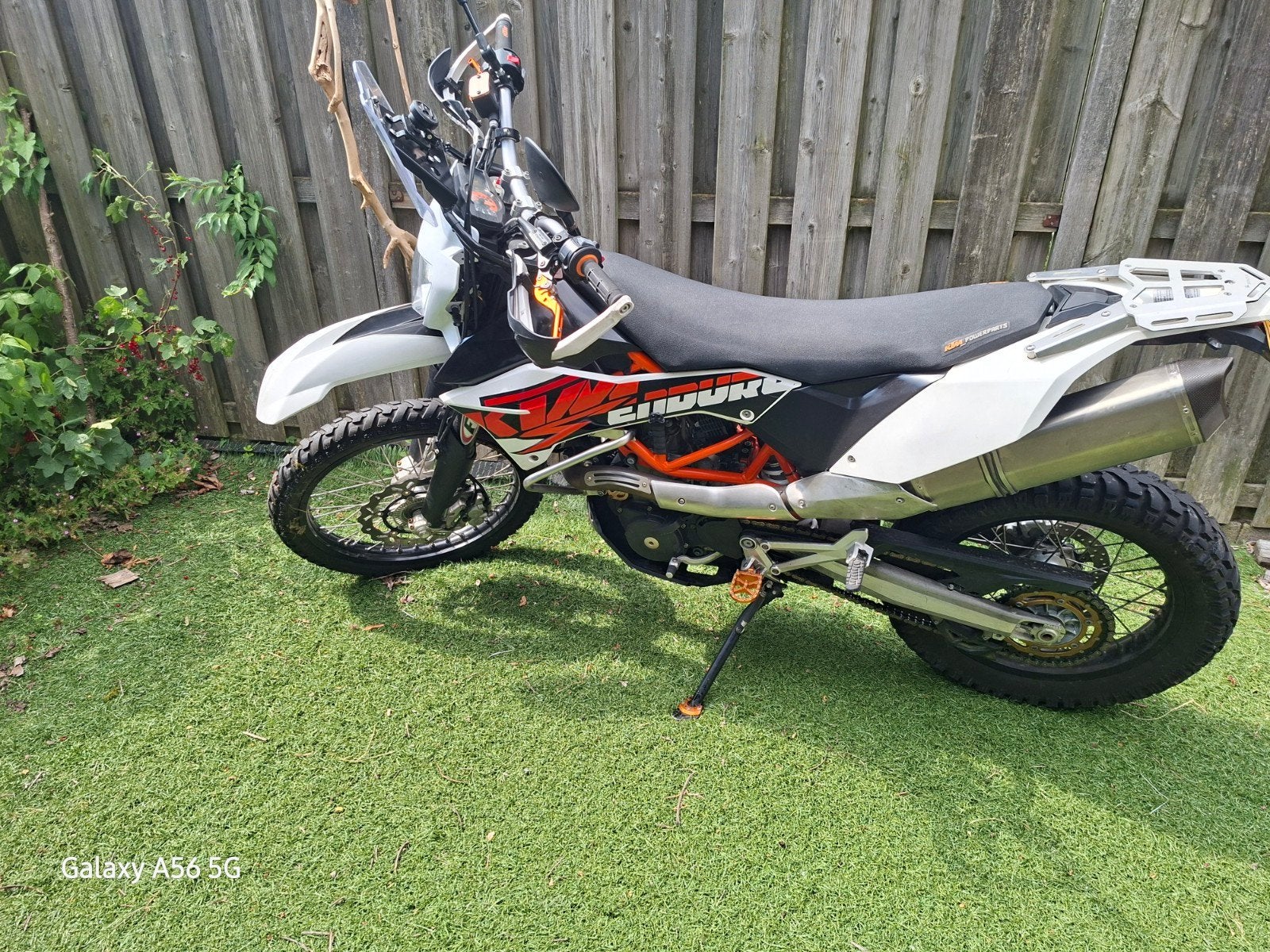thumb-0