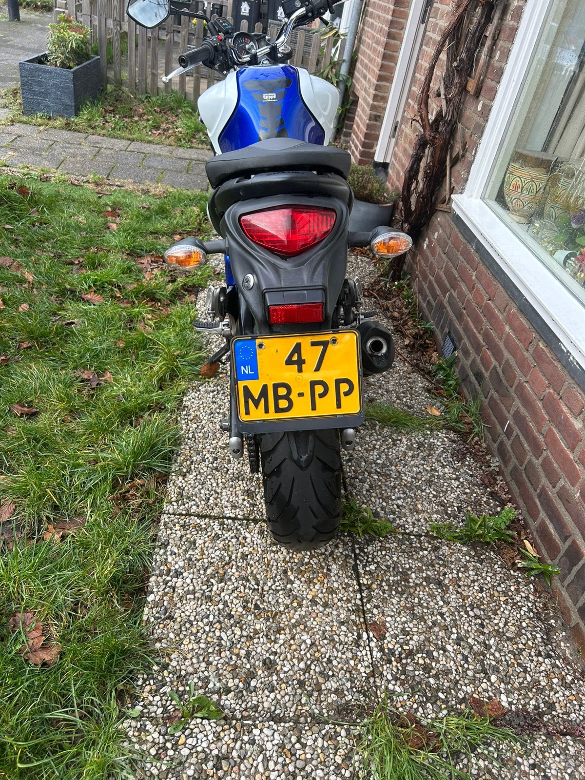 thumb-1