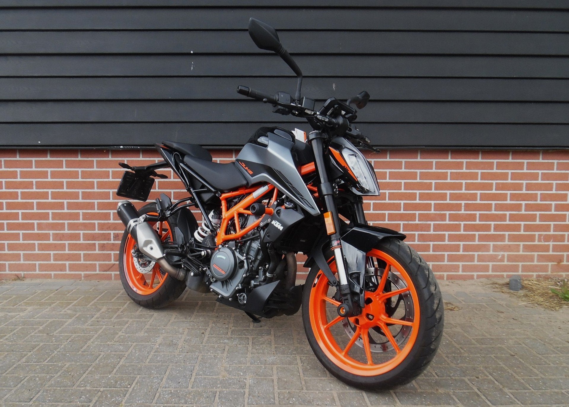 thumb-16