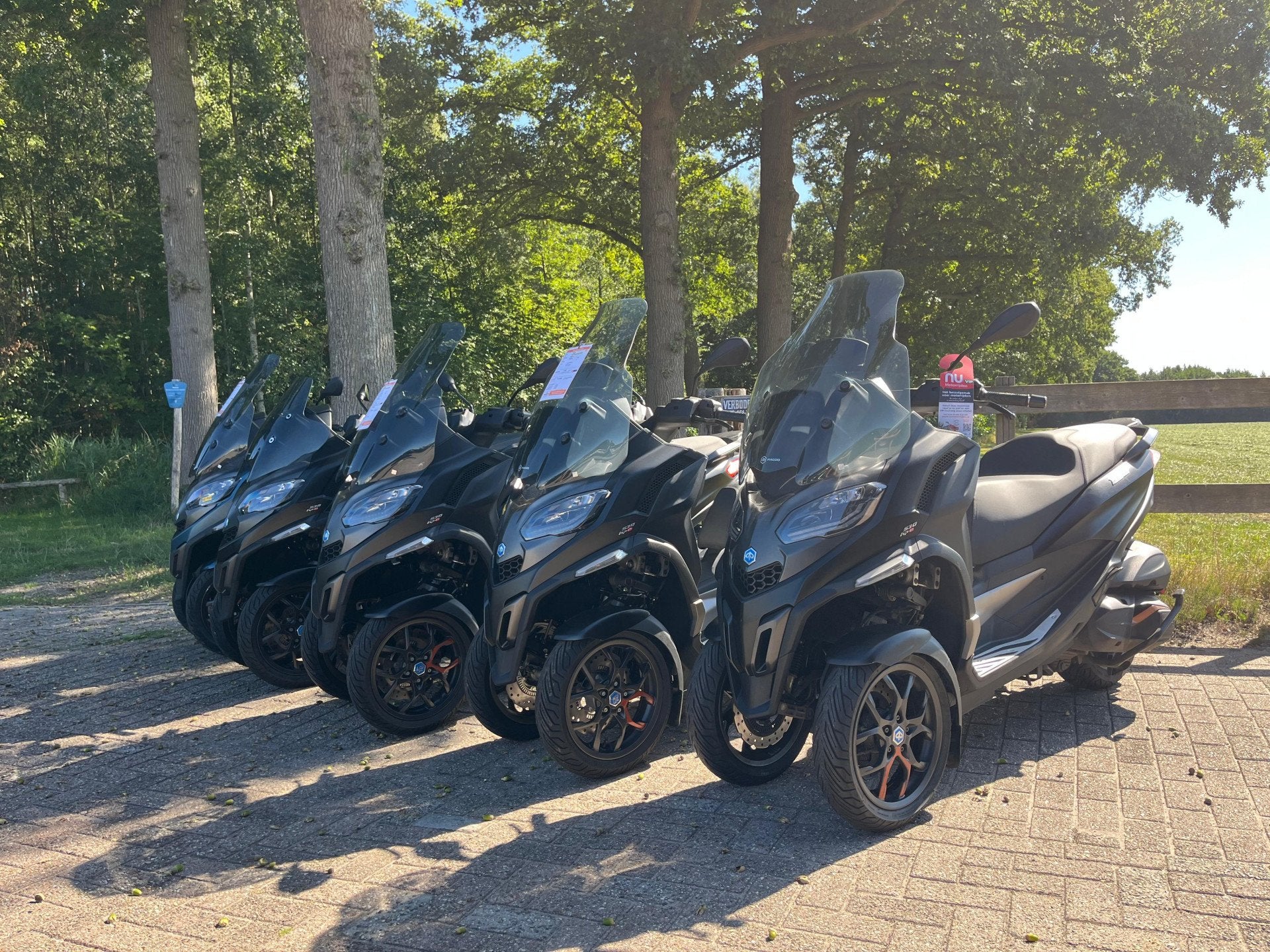 thumb-3