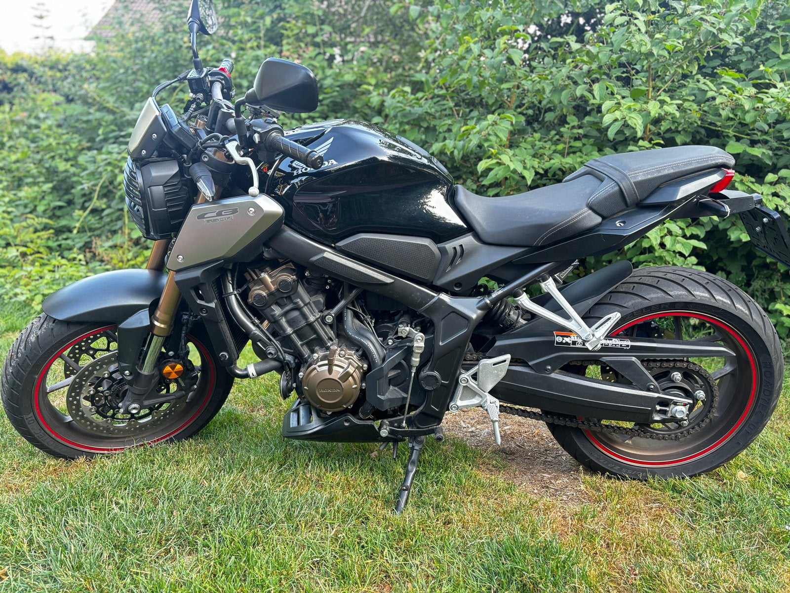 thumb-0