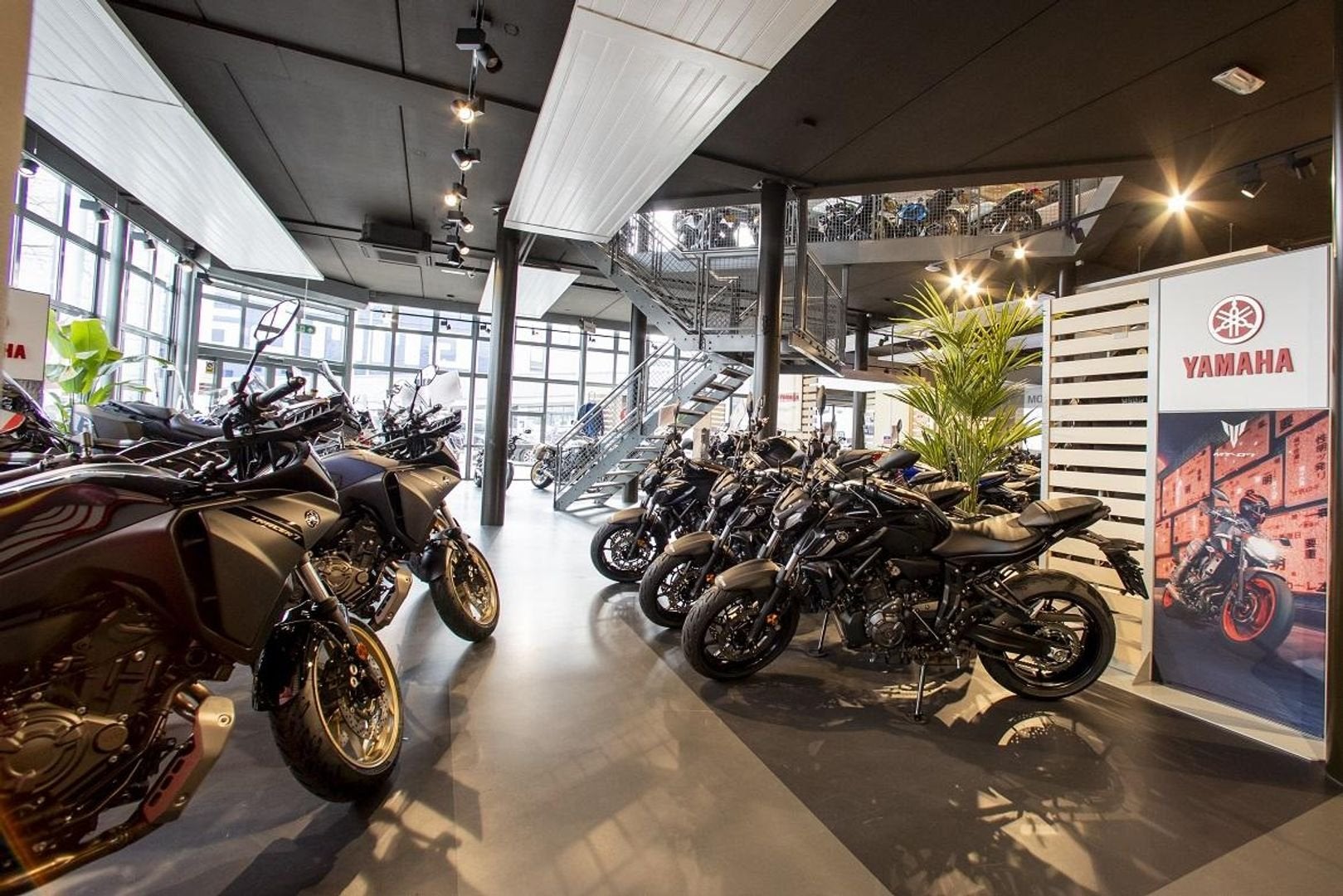 thumb-12