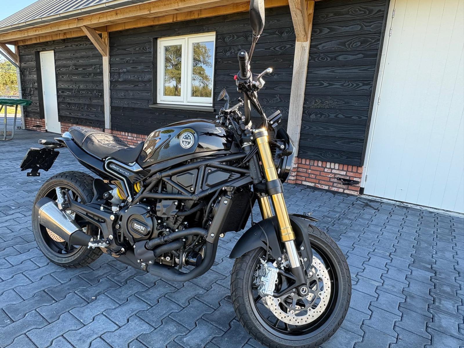 Benelli Leoncino 800