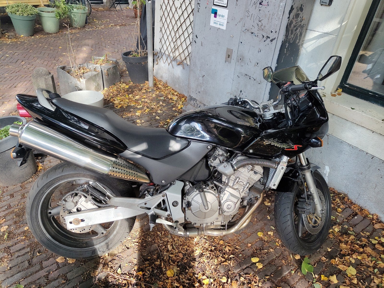 Honda CB 600S Hornet