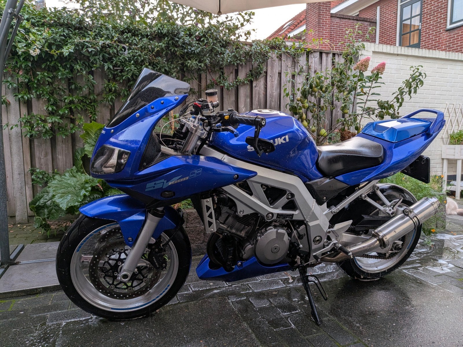 Suzuki SV 1000S