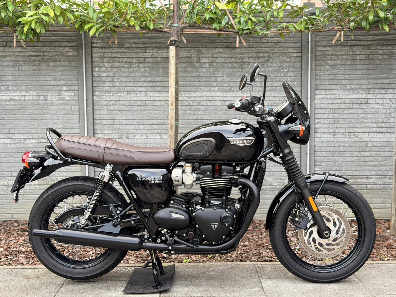 Triumph Bonneville 650 T120