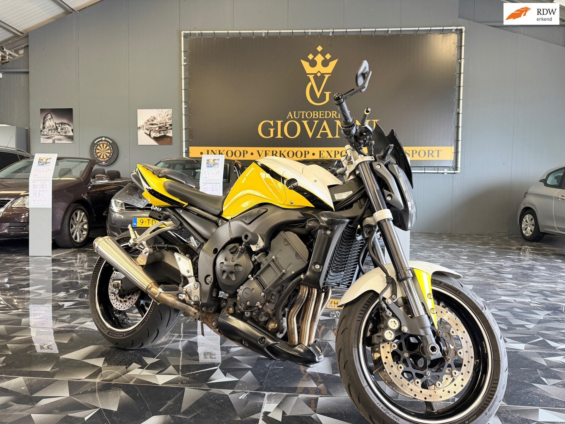 Yamaha FZ-1 N