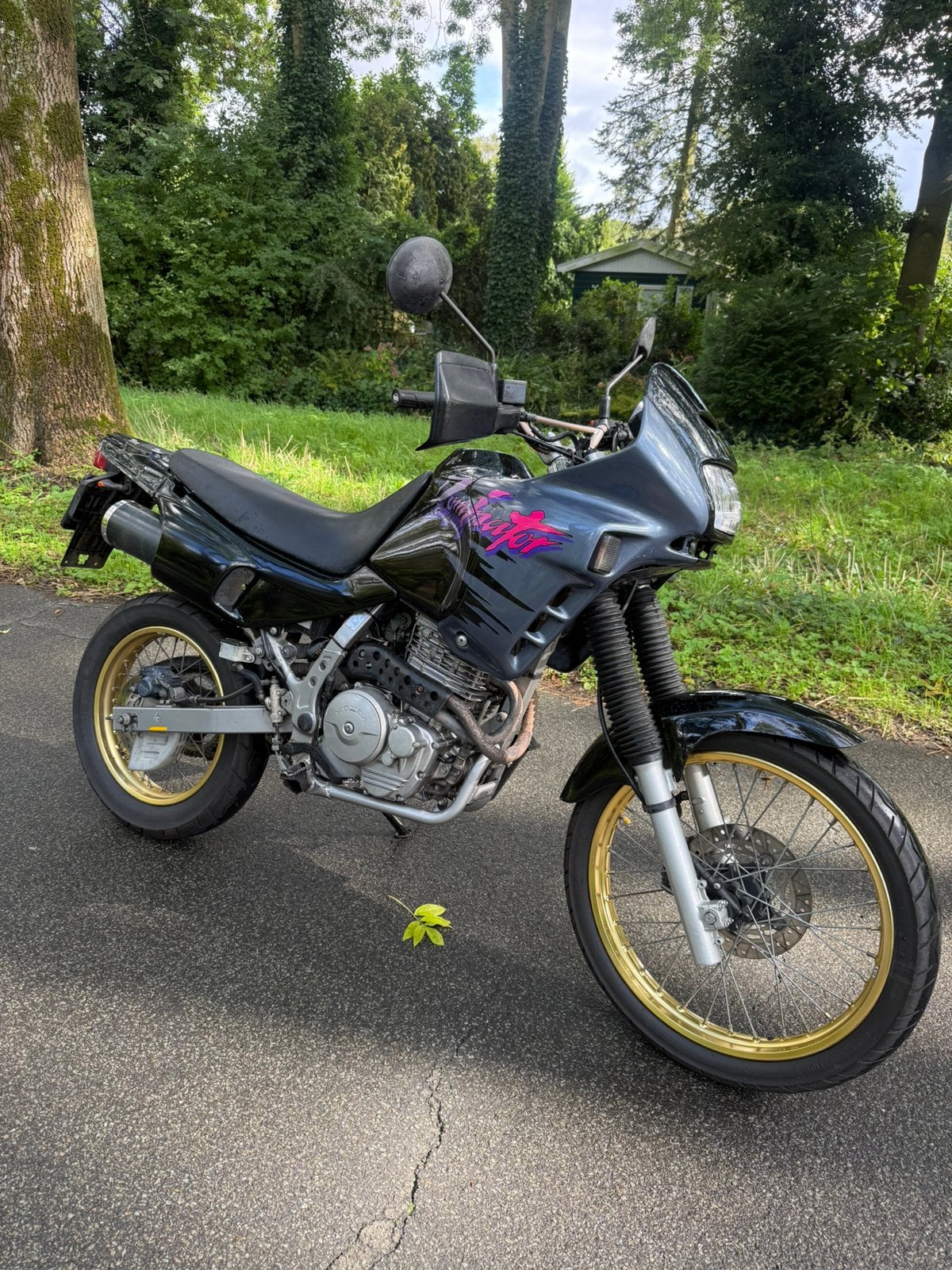 Honda NX 650 Dominator