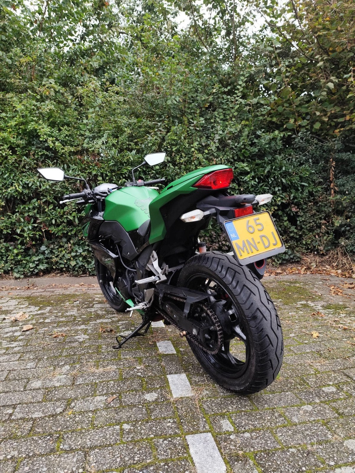 Kawasaki Z300