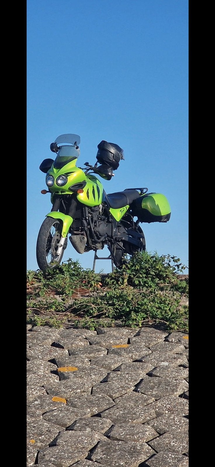 Triumph Tiger 955i