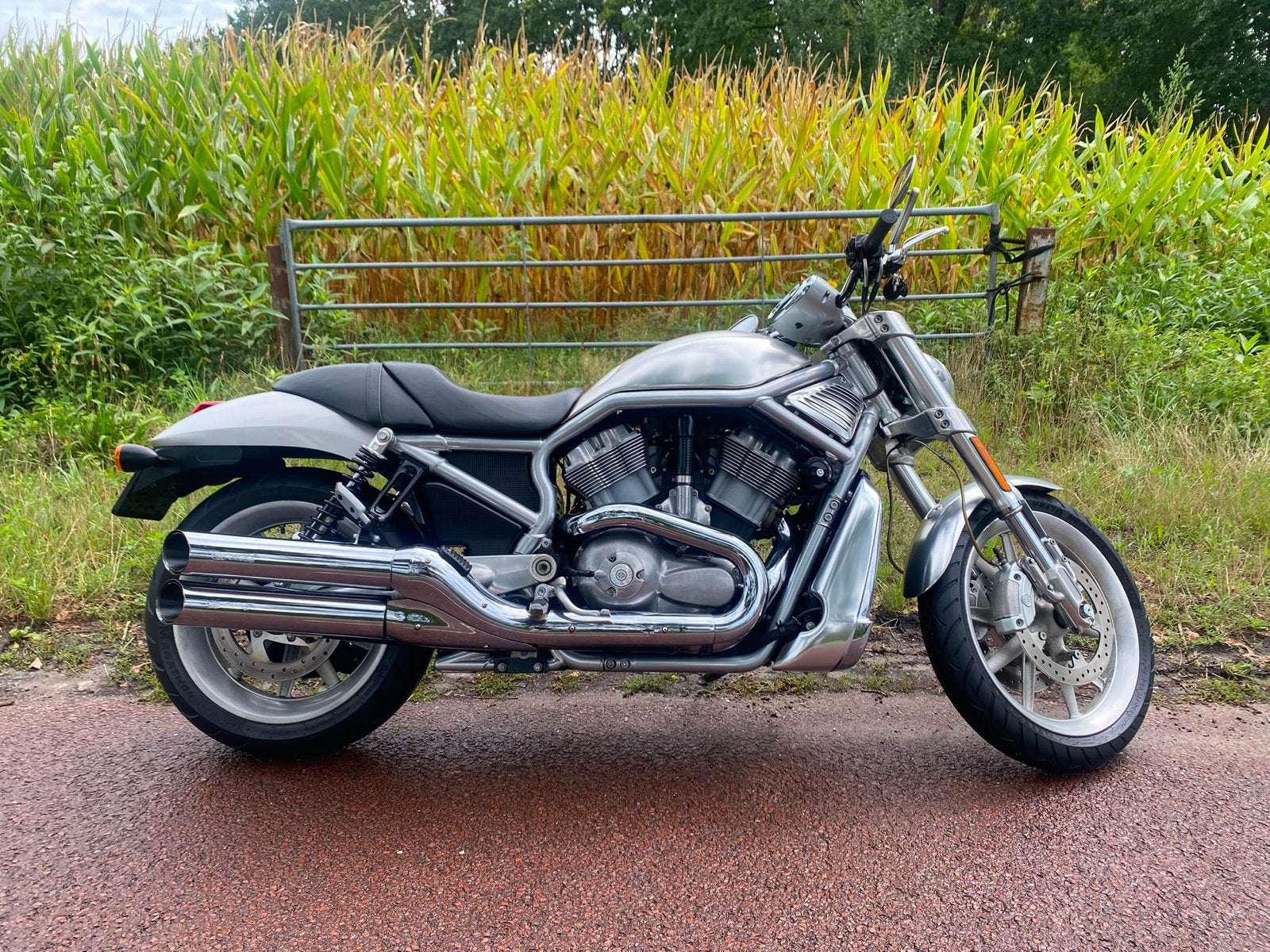 Harley-Davidson VRSCR Street Rod