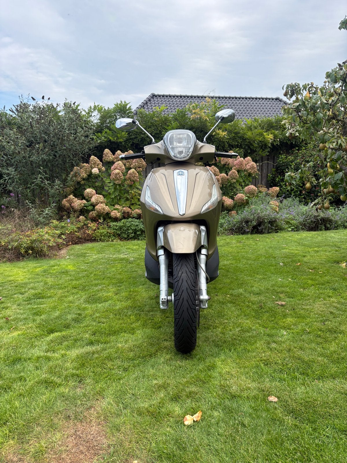 Piaggio Beverly 300