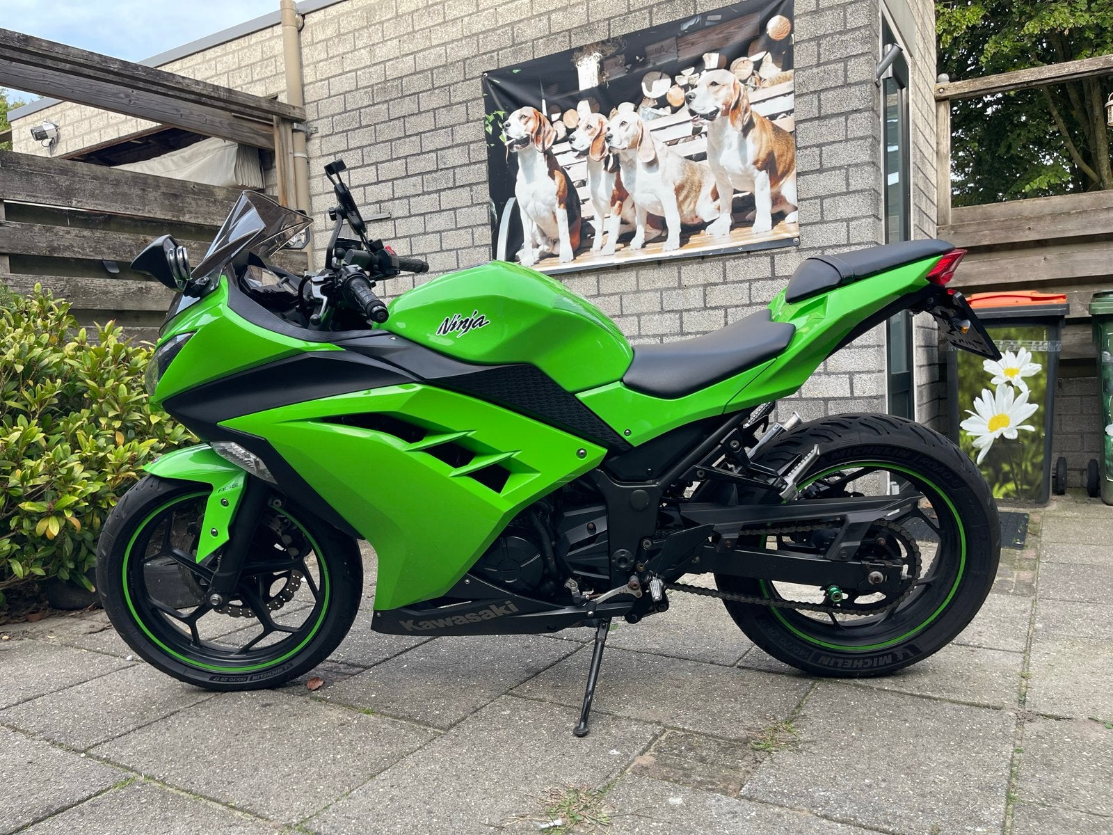 Kawasaki Ninja 300