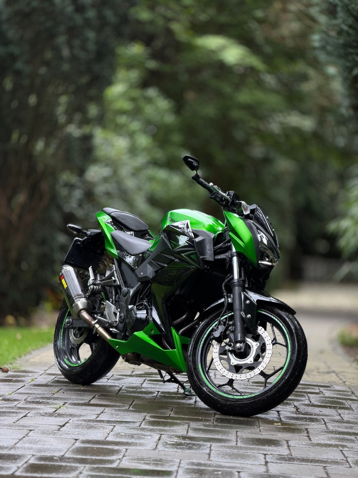 Kawasaki Z300
