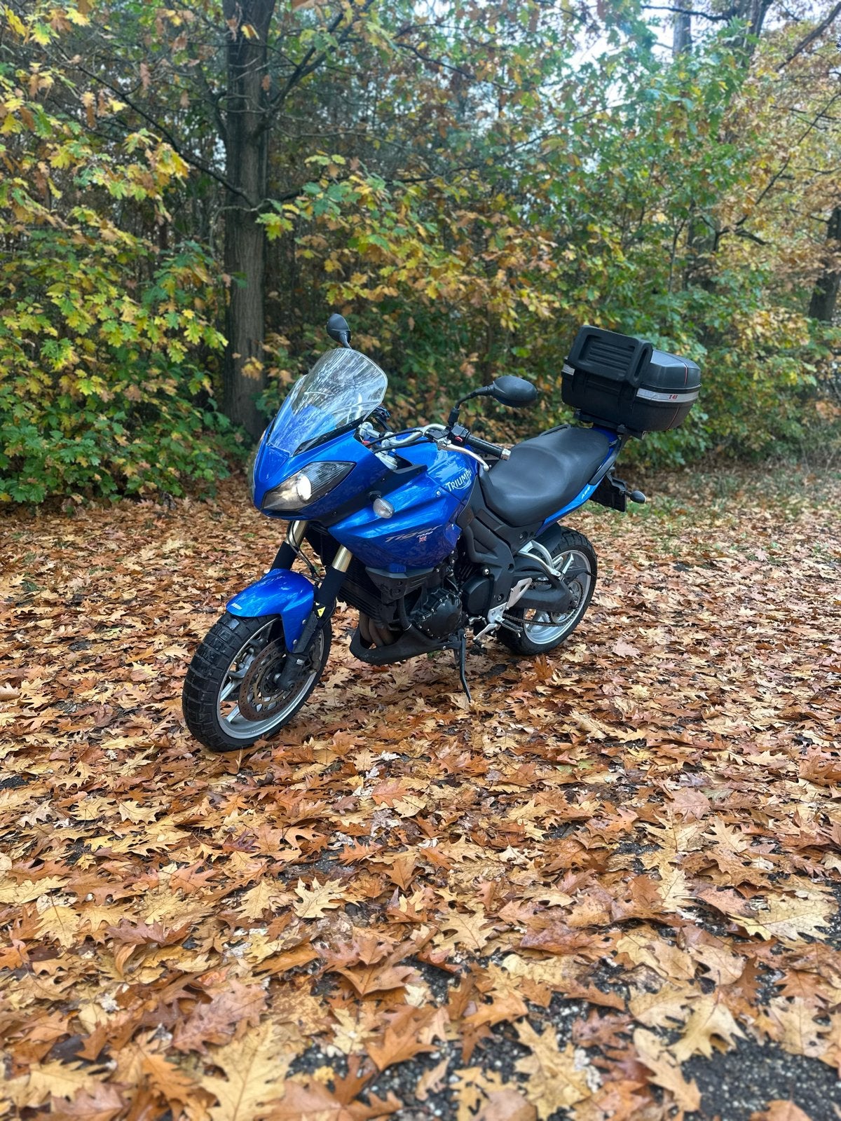 Triumph Tiger 1050 Sport