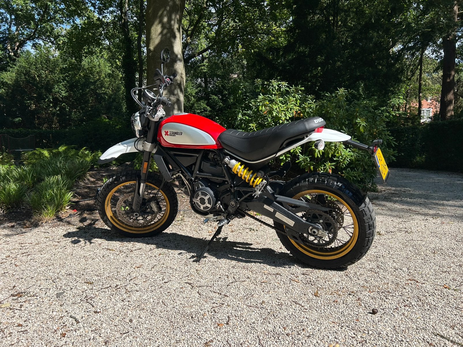 Ducati Scrambler 800 Desert Sled