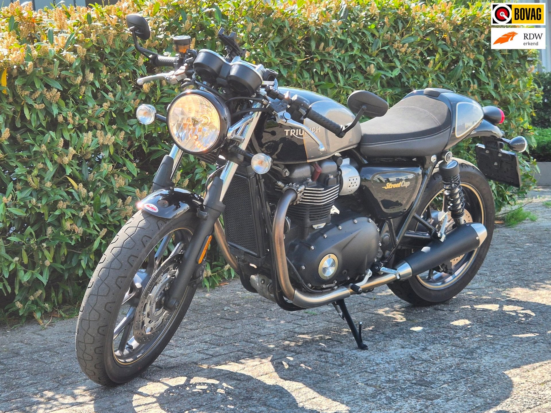 Triumph Street Cup