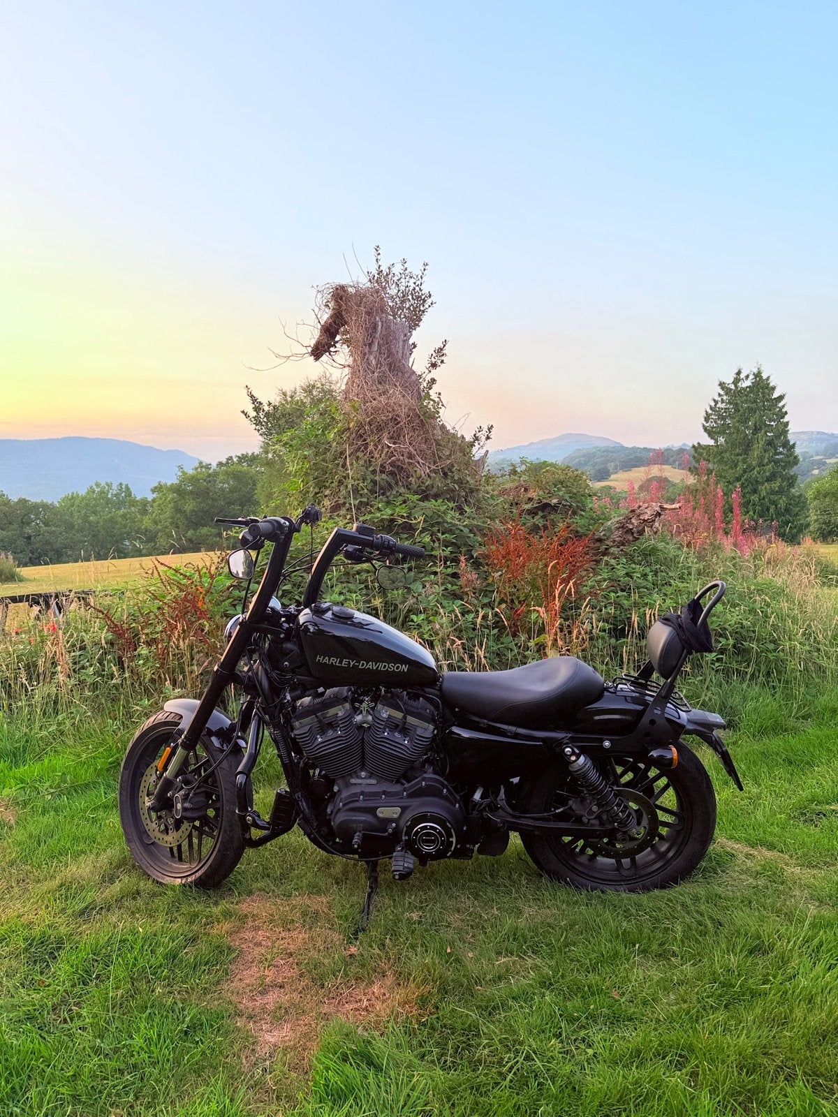 Harley-Davidson XL 1200R Sportster Roadster