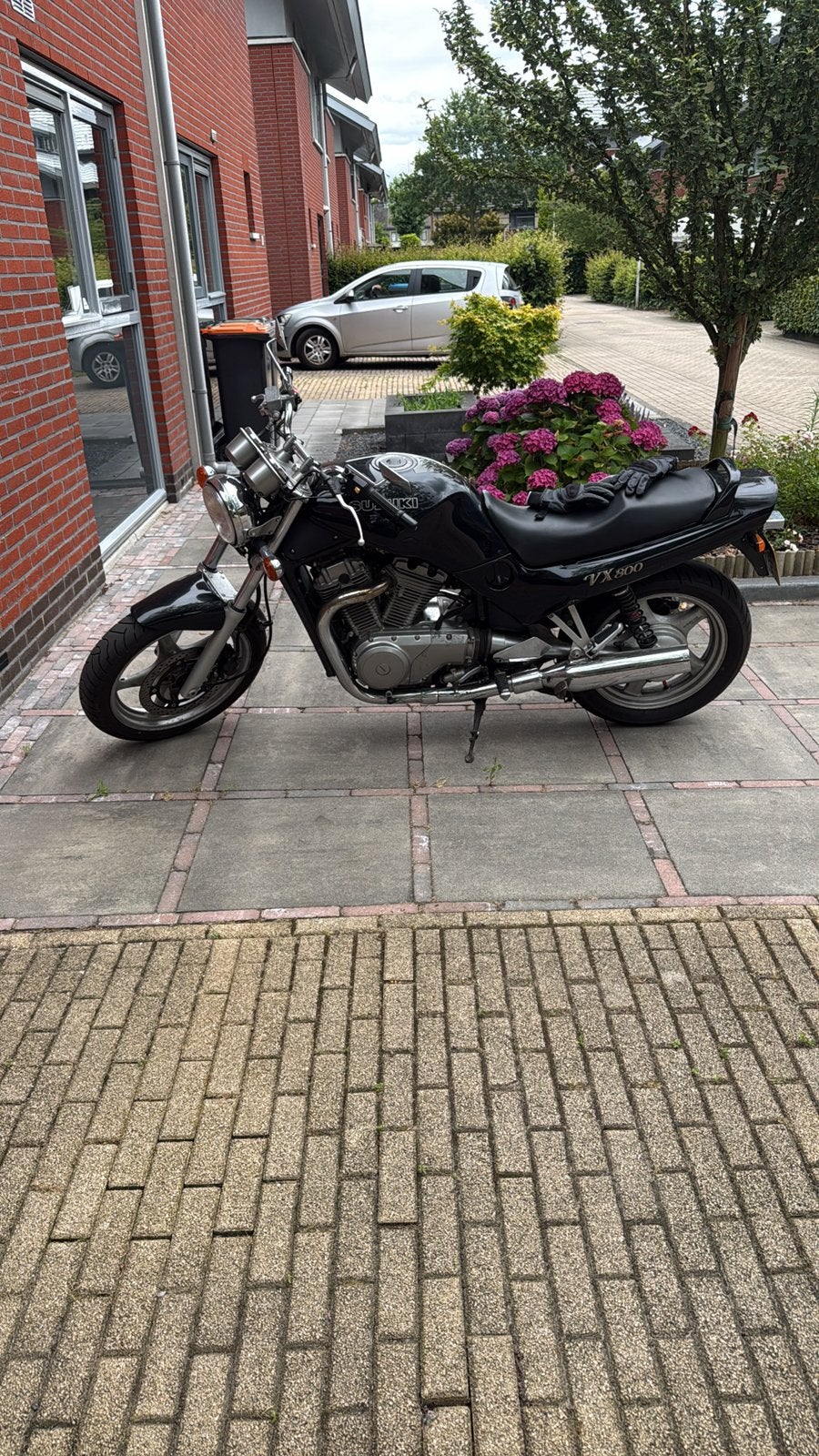 Suzuki VX 800 Highlander