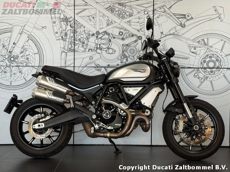 Ducati Scrambler 1100