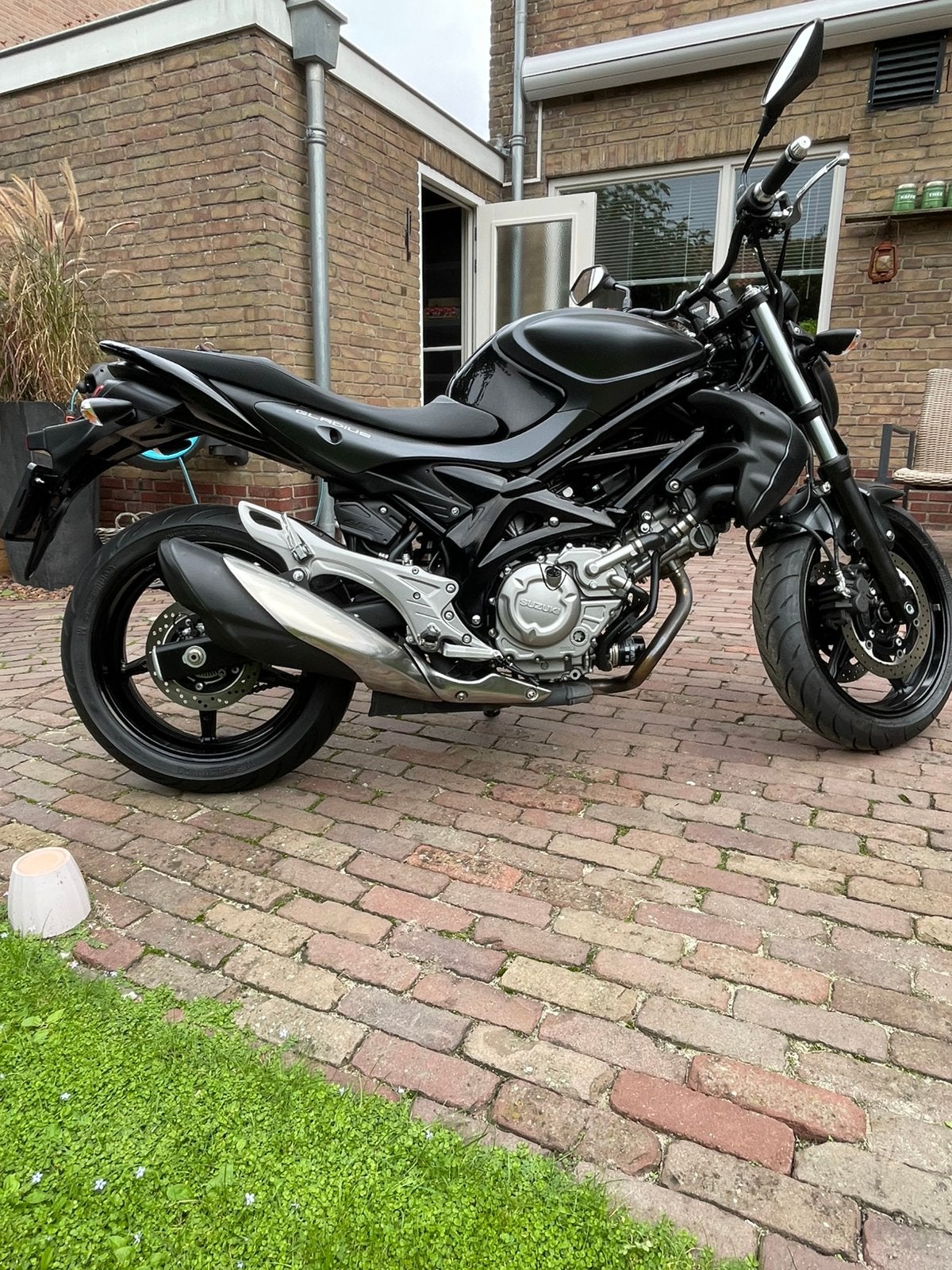 Suzuki SFV 650 Gladius