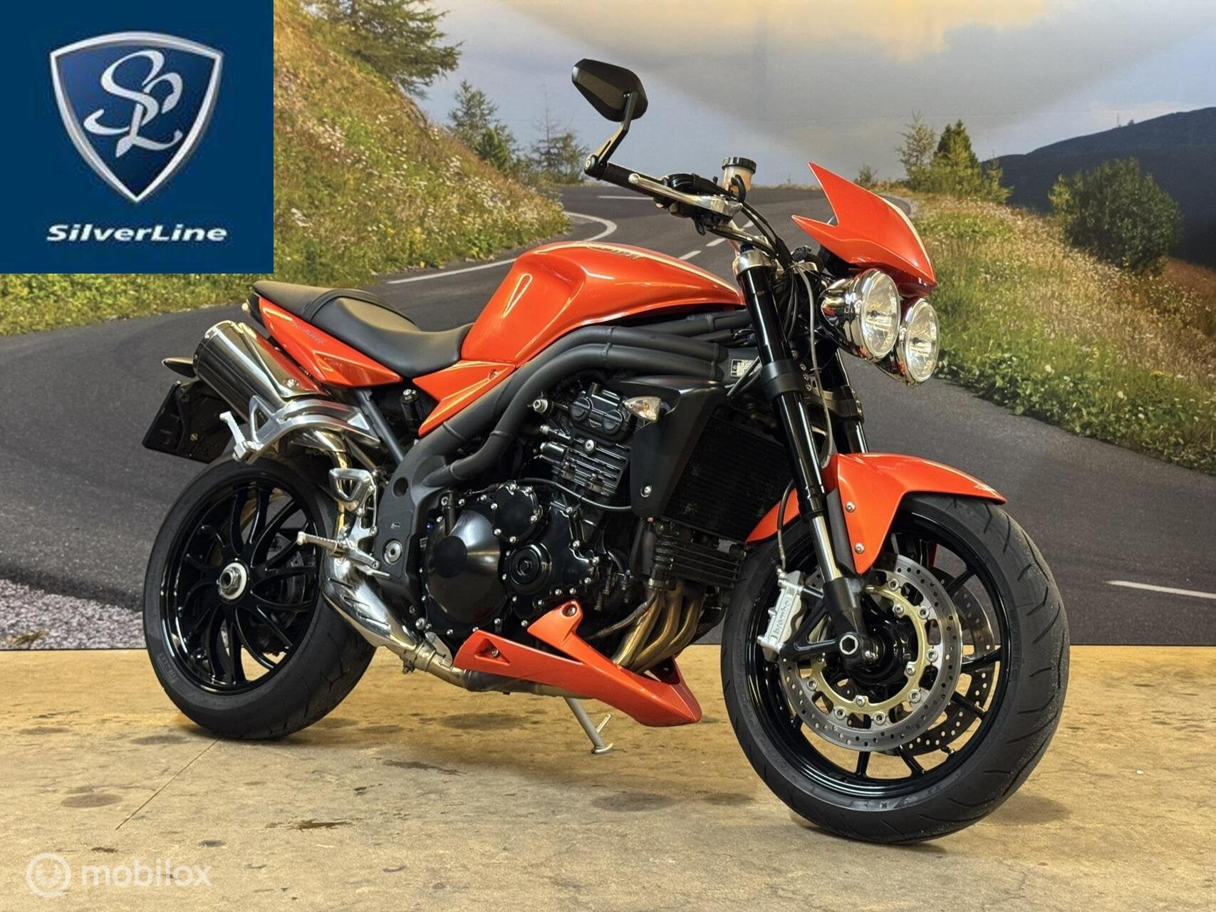 Triumph Speed Triple 94