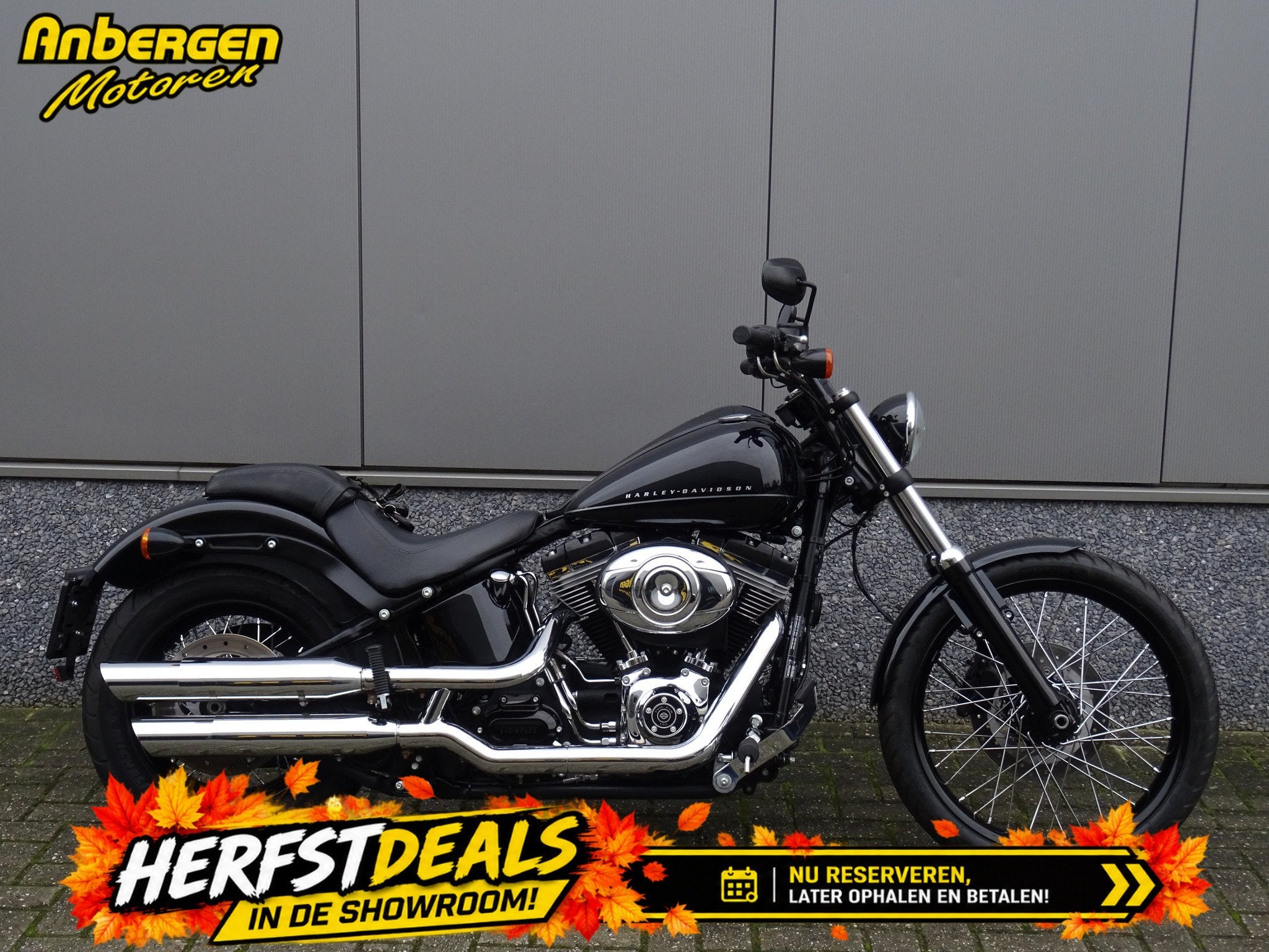 Harley-Davidson FXS Softail Blackline