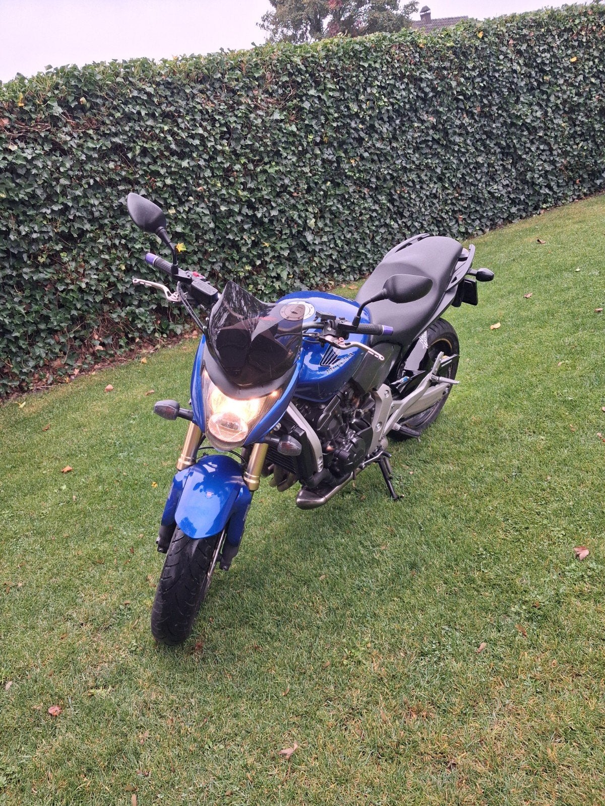 Honda CB 600F Hornet