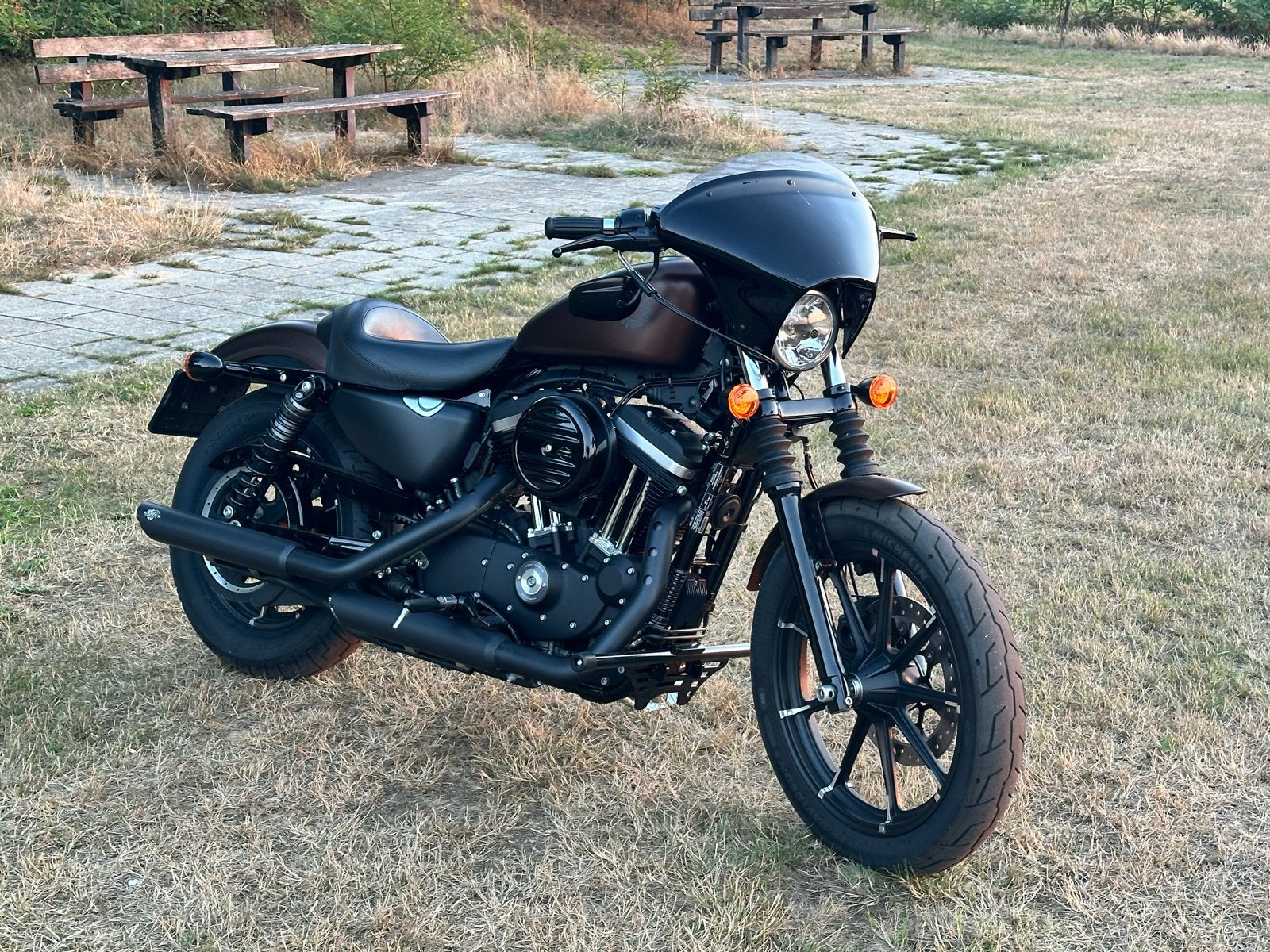 Harley-Davidson XL883N Sportster Iron 883