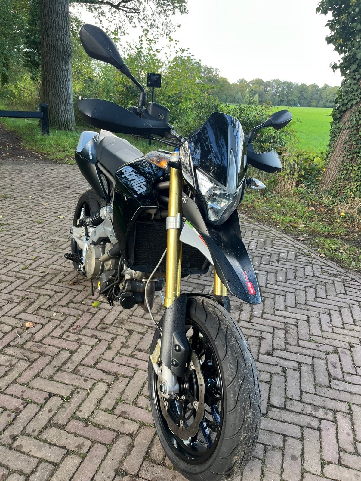 Aprilia SMV 750 Dorsoduro