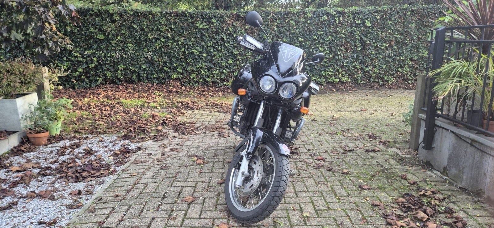 Triumph Tiger 955i