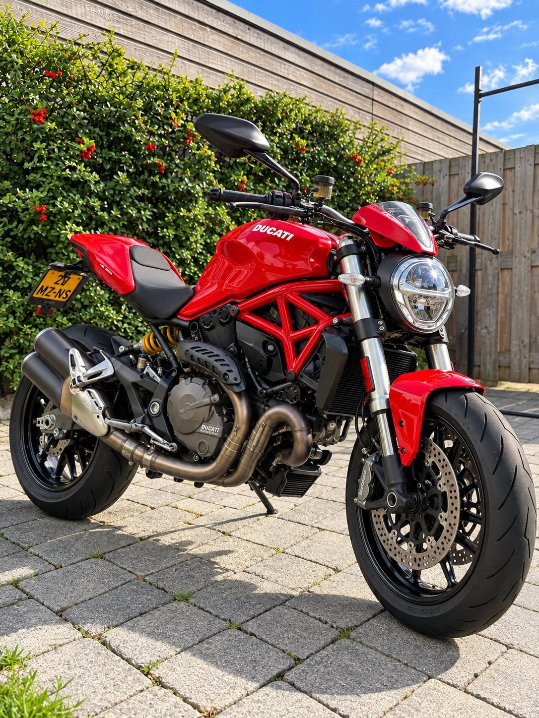 Ducati Monster 821