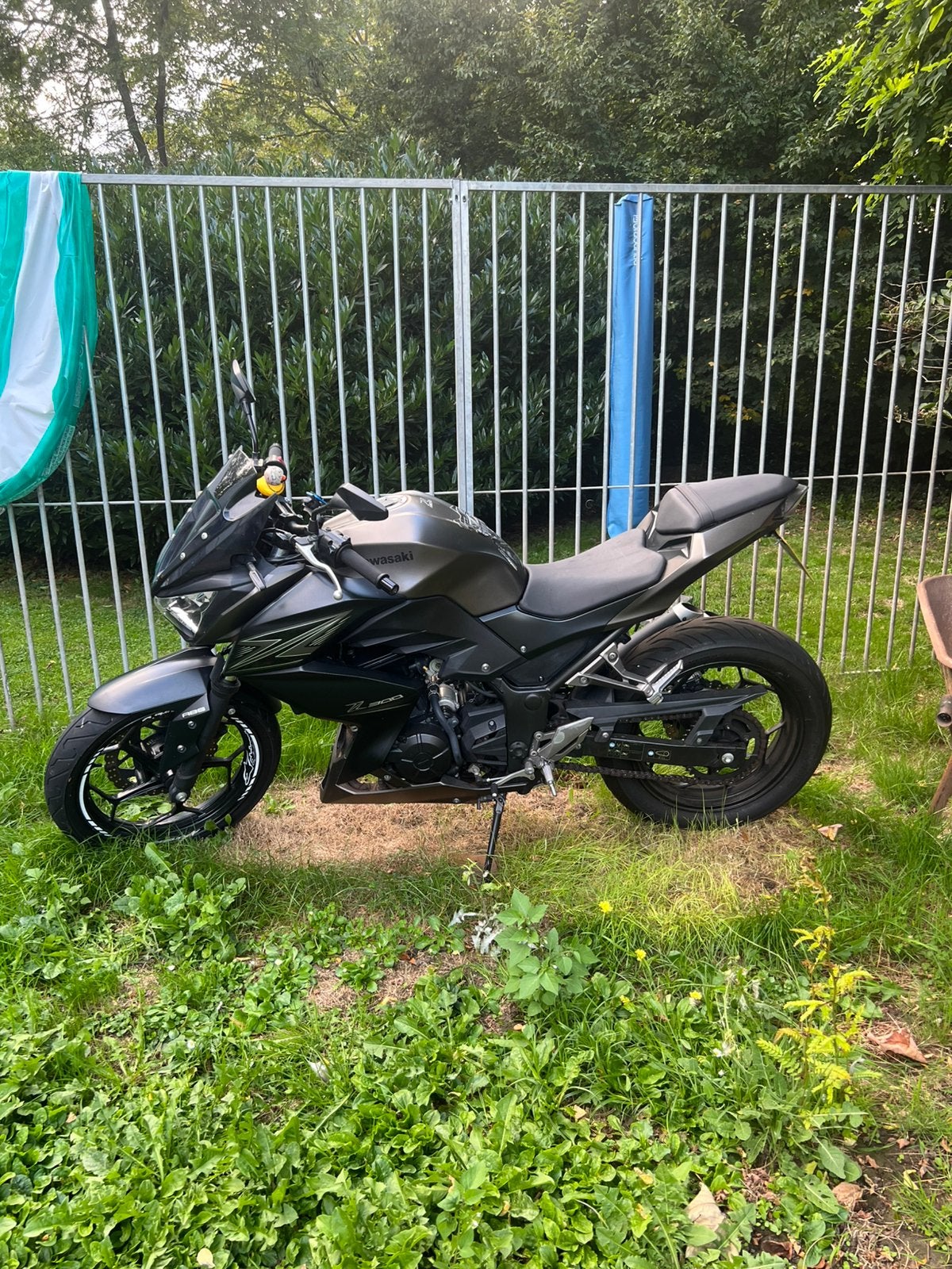Kawasaki Z300