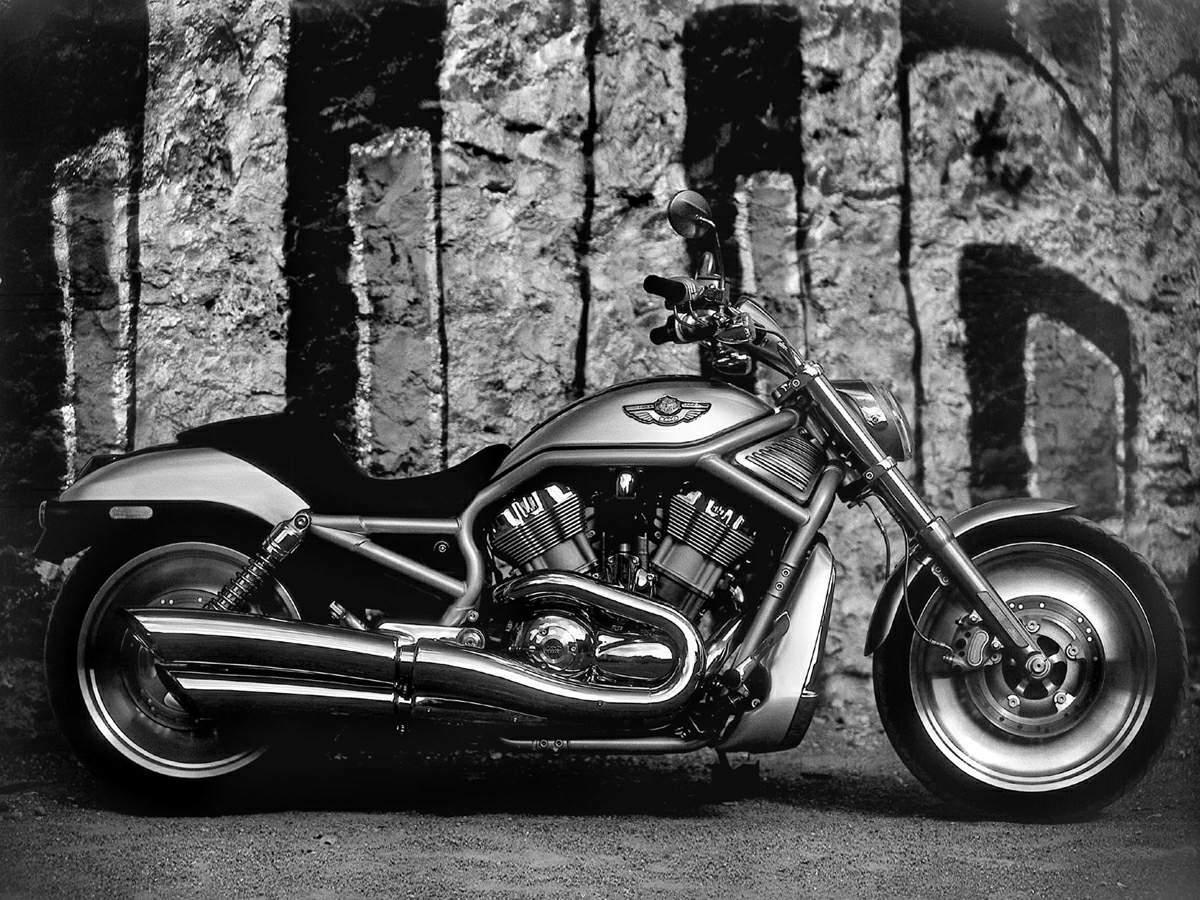 HARLEY-DAVIDSON VRSCA V-Rod
