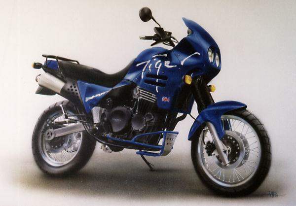 TRIUMPH Tiger 900
